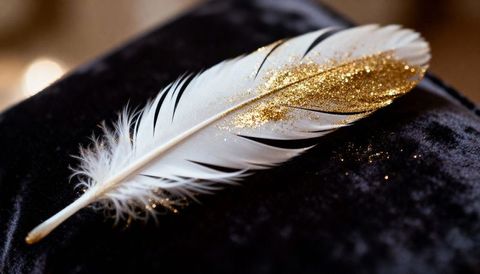 White feather glinting with gold glitter on black velvet cushion