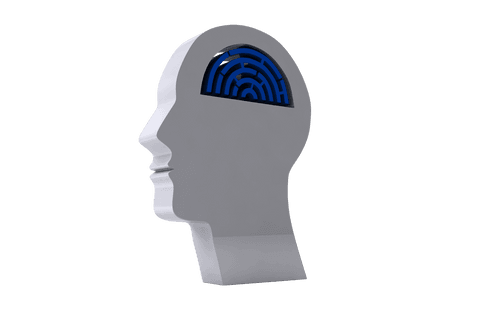 digital illustration of head with labyrinth on transparent background - Download Free Stock Videos Pikwizard.com