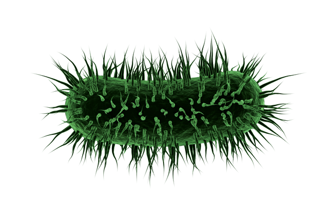 Digital Illustration of Green Virus Cell on Transparent Background - Download Free Stock Videos Pikwizard.com