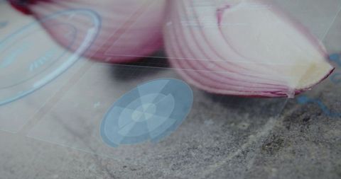 Displaying halved red onion showing purple rings with holographic hud overlay on concrete