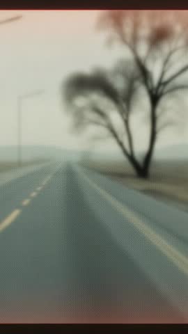 Camera moving forward on foggy two-lane road passing leafless tree and street lamps