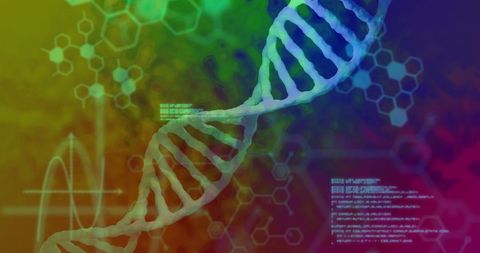 Colorful DNA Strand with Digital Interface - Download Free Stock Images Pikwizard.com