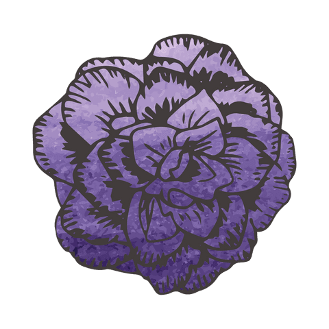 Purple flower illustration on transparent background