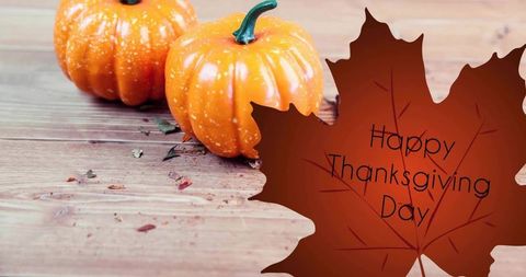Mini Pumpkins Sitting on Rustic Wood Table with Maple Leaf Greeting Happy Thanksgiving Day