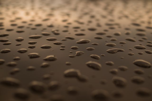 Capturing the intricate details of water droplets, this image serves well for backgrounds, design elements in drought or rainy season campaigns, or as a calming wallpaper for desktop or mobile use. The soft lighting gives a serene feel, making it perfect for use in relaxation or spa descriptions and promotions.