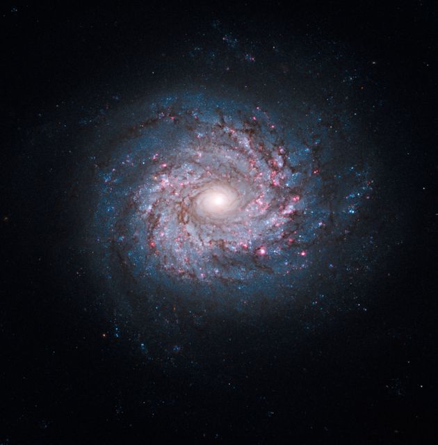 NASA image release October 19, 2010  Though the universe is chock full of spiral-shaped galaxies, no two look exactly the same. This face-on spiral galaxy, called NGC 3982, is striking for its rich tapestry of star birth, along with its winding arms. The arms are lined with pink star-forming regions of glowing hydrogen, newborn blue star clusters, and obscuring dust lanes that provide the raw material for future generations of stars. The bright nucleus is home to an older population of stars, which grow ever more densely packed toward the center.  NGC 3982 is located about 68 million light-years away in the constellation Ursa Major. The galaxy spans about 30,000 light-years, one-third of the size of our Milky Way galaxy. This color image is composed of exposures taken by the Hubble Space Telescope's Wide Field Planetary Camera 2 (WFPC2), the Advanced Camera for Surveys (ACS), and the Wide Field Camera 3 (WFC3). The observations were taken between March 2000 and August 2009. The rich color range comes from the fact that the galaxy was photographed invisible and near-infrared light. Also used was a filter that isolates hydrogen emission that emanates from bright star-forming regions dotting the spiral arms.  The Hubble Space Telescope is a project of international cooperation between NASA and the European Space Agency. NASA's Goddard Space Flight Center manages the telescope. The Space Telescope Science Institute (STScI) conducts Hubble science operations. STScI is operated for NASA by the Association of Universities for Research in Astronomy, Inc. in Washington, D.C.  Credit: NASA, ESA, and the Hubble Heritage Team (STScI/AURA) Acknowledgment: A. Riess (STScI)  <b><a href="http://www.nasa.gov/centers/goddard/home/index.html" rel="nofollow">NASA Goddard Space Flight Center</a></b> enables NASA’s mission through four scientific endeavors: Earth Science, Heliophysics, Solar System Exploration, and Astrophysics. Goddard plays a leading role in NASA’s accomplishments by contributing compelling scientific knowledge to advance the Agency’s mission.  <b>Follow us on <a href="http://twitter.com/NASA_GoddardPix" rel="nofollow">Twitter</a></b>  <b>Join us on <a href="http://www.facebook.com/pages/Greenbelt-MD/NASA-Goddard/395013845897?ref=tsd" rel="nofollow">Facebook</a></b>