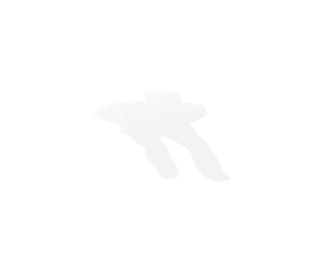 Businesswoman Shadow Silhouette PNG with Transparent Background - Download Free Stock Videos Pikwizard.com
