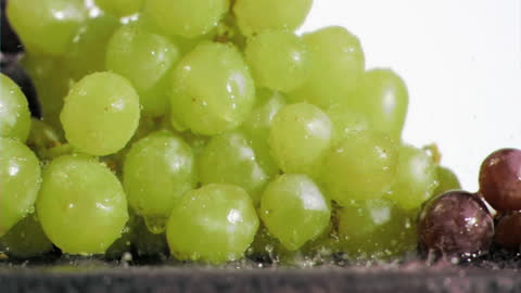 Fresh Grapes Soaking in Super Slow Motion