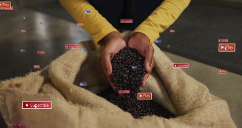 Hands holding dark brown beans with digital media icons