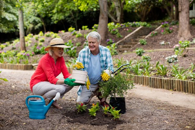Senior couple enjoying gardening together in a lush garden. Ideal for use in articles or advertisements about healthy lifestyles, retirement activities, outdoor hobbies, and bonding moments. Perfect for promoting gardening products, senior living communities, and wellness programs.