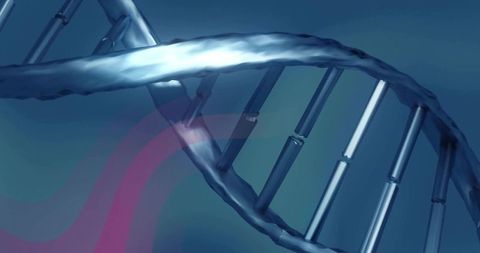 Twisting metallic blue DNA double helix with magenta ribbon accent, glossy 3D render