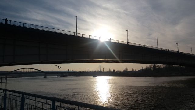 Sunset Over River Below Bridge with Bird Silhouette - Download Free Stock Photos Pikwizard.com