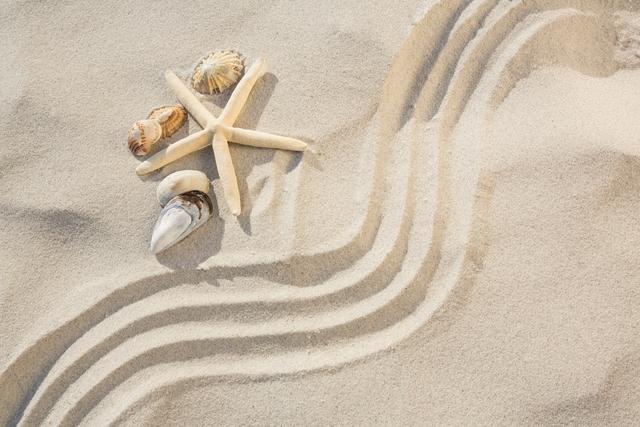 Starfish and seashells arranged on sandy beach with a zen pattern. Ideal for promoting beach vacations, relaxation, coastal living, and marine life. Perfect for travel brochures, wellness blogs, and nature-themed projects.