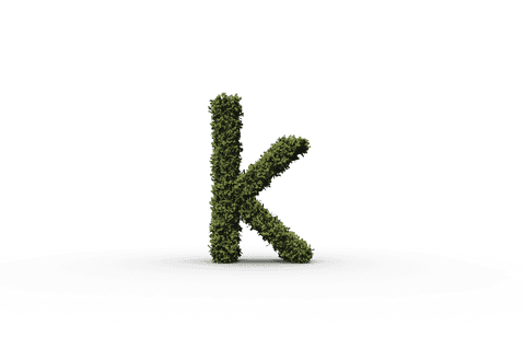 nature-inspired grass textured transparent letter k isolated - Download Free Stock Videos Pikwizard.com
