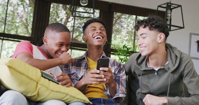 Happy Teenage Boys Sharing Media on Smartphone at Home - Download Free Stock Images Pikwizard.com