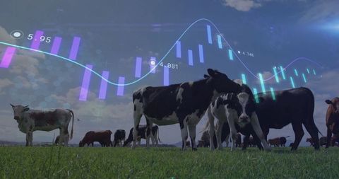 Digital Finance Meets Agriculture: Cattle Grazing with Data Visualization Overlay