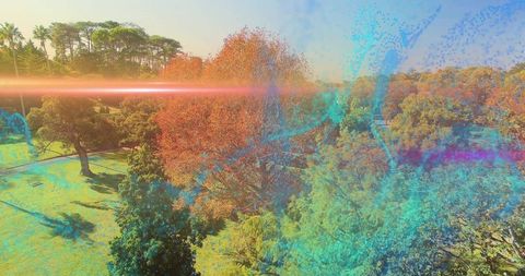 Autumn park canopy with central orange tree, vibrant overlays and cinematic lens flare