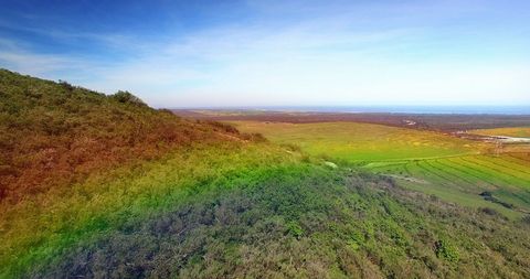 Rainbow Fog Over Scenic Countryside Horizon in National Park - Download Free Stock Images Pikwizard.com