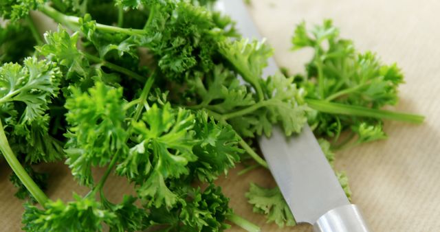 Fresh parsley is being chopped on a cutting board, with copy space. A stainless steel knife cuts through the vibrant green leaves, indicating the preparation of ingredients for a flavorful dish.