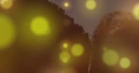 Romantic Silhouette with Dreamy Light Orbs at Beach