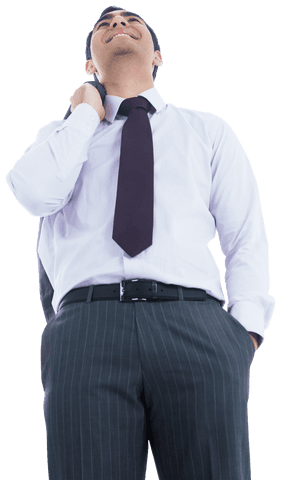 Smiling Biracial Businessman Relaxed and Confident on Transparent Background