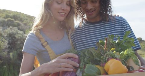Diverse Couple Harvesting Fresh Vegetables Outdoors