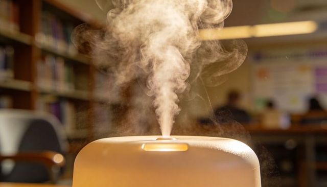 Beige ultrasonic diffuser releasing warm mist in quiet study room with bookshelves