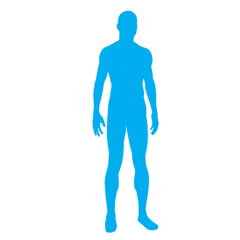blue human silhouette on transparent background for design - Download Free Stock Videos Pikwizard.com