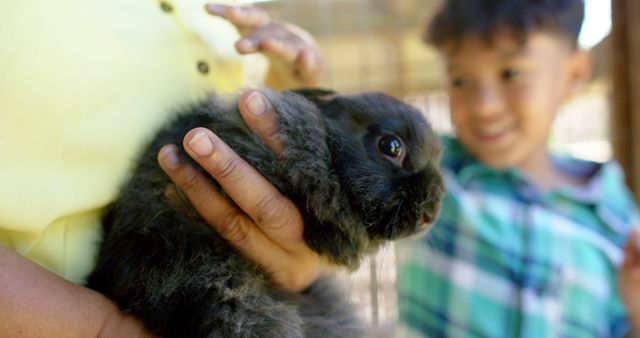 Mother holding fluffy black rabbit while young boy smiles and admires it. Perfect for themes of family bonding, pet care, outdoor activities with pets, and childhood joys. Can be used in advertisements for pet products, family-oriented promotions, or articles on the benefits of animal companionship.