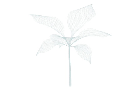 Digital Transparent Flower Shape with Detailed Pattern - Download Free Stock Videos Pikwizard.com