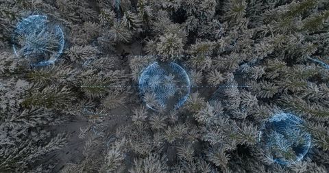 Aerial winter forest with digital connectivity overlay