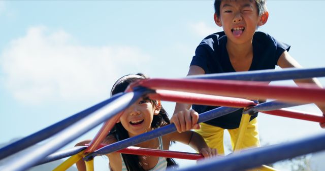 Happy Siblings Playing on Jungle Gym in Sunny Playground - Download Free Stock Images Pikwizard.com