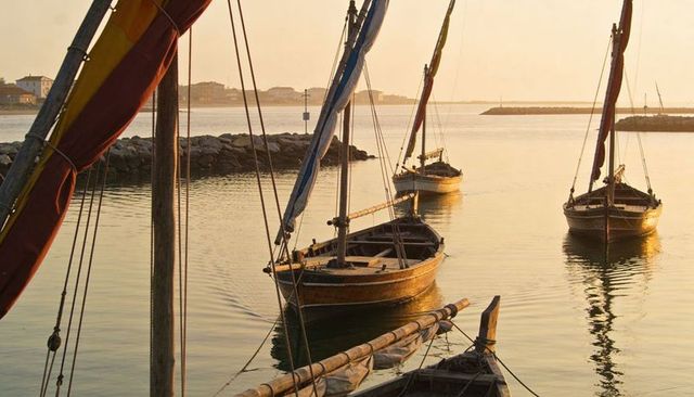 Wooden sailboats floating in golden harbor at sunrise with calm reflections and rigging