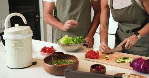 Senior Couple Preparing Healthy Salad Kitchen Counter Lifestyle