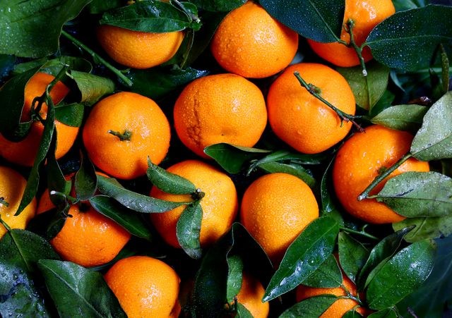 Fresh Oranges with Leaves and Water Droplets - Download Free Stock Photos Pikwizard.com