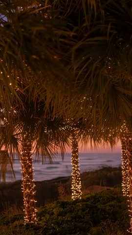 Vertical twilight video of palm trunks wrapped in fairy lights twinkling over calm coastline