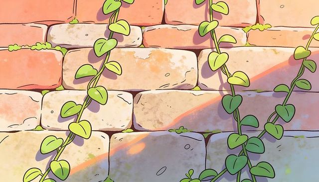 Sunlit weathered stone wall with climbing heart-shaped vines and mossy texture