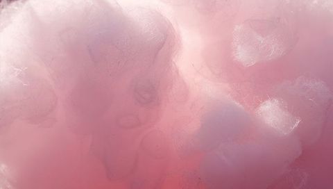 Floating pastel pink cotton fibers creating soft cloudlike abstract macro texture