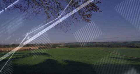 Tranquil Pasture with Shadows and Code Reflections