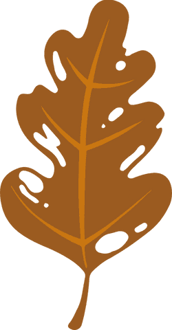 Transparent Oak Leaf Illustration in Flat Design - Download Free Stock Videos Pikwizard.com