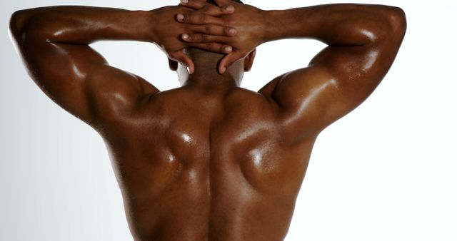 Athletic Bodybuilder Showing Muscular Back - Download Free Stock Images Pikwizard.com