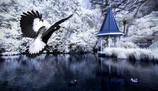 Serene landscape depicting a tranquil winter scene with a gazebo by an icy lake. Snow-covered trees surround the serene water, where birds are flying and swimming, creating a peaceful, natural ambiance. Ideal for use in promotions of winter travel destinations, scenic calendars, nature magazines, and relaxing therapy spaces.