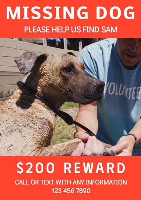 Poster with a missing dog headline offering a reward for any information about the lost pet. Featuring caucasian volunteer interacting with a dog against a red background. Useful for animal rescue operations, community alerts, pet owners seeking assistance.