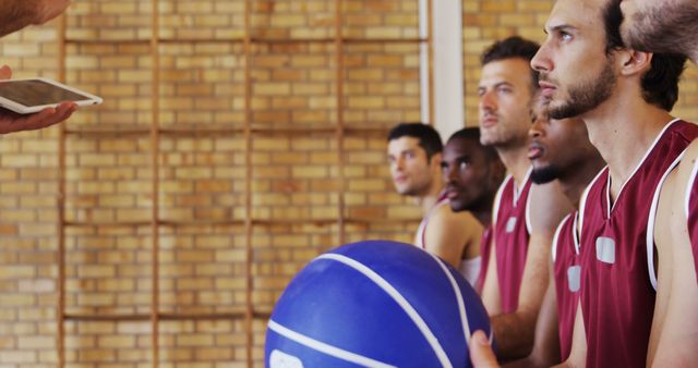 Basketball Team Sitting on Bench During Timeout - Download Free Stock Images Pikwizard.com