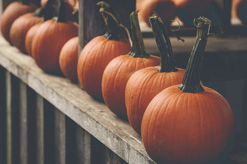 Row of rustic pumpkins lining weathered wooden railing for autumn decor and halloween