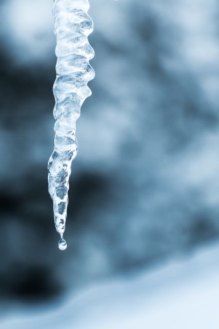 This image captures a close-up view of an icicle with a single drop of water falling from its tip. The background is blurred, emphasizing the icicle and creating a cold and wintry atmosphere. Ideal for use in articles about winter weather, climate change, nature documentaries, environmental topics, or as a seasonal decoration or background in homes and offices.