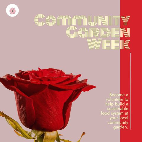 community garden week educational campaign with rose - Download Free Stock Templates Pikwizard.com