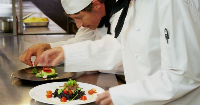 Professional Chefs Plating Gourmet Dishes in Restaurant Kitchen - Download Free Stock Images Pikwizard.com