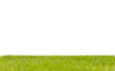 blurred green grass on transparent background - Download Free Stock Videos Pikwizard.com
