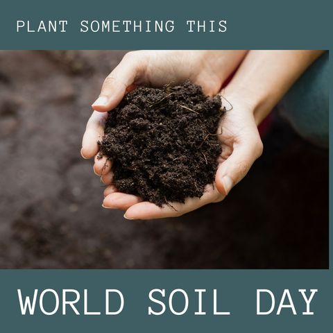 Celebrating World Soil Day with Sustainable Gardening Efforts - Download Free Stock Templates Pikwizard.com